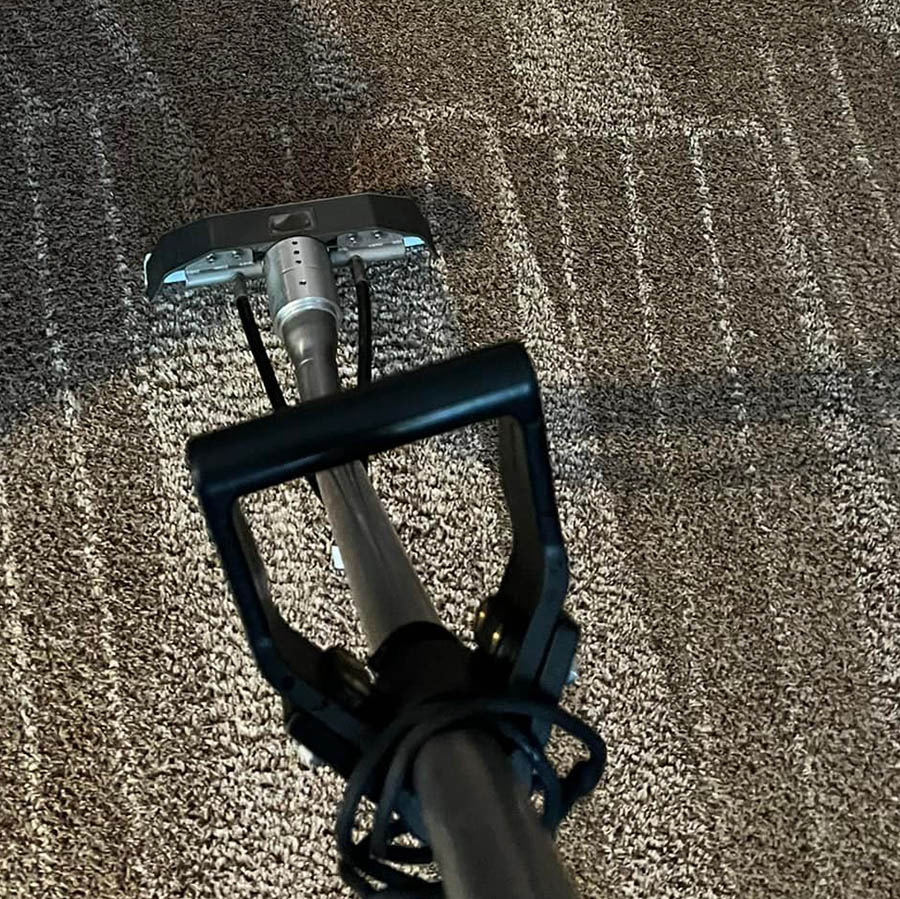 Carpet & Area Rug Cleaning Services from AO Cleaning Carpet & Area Rugs